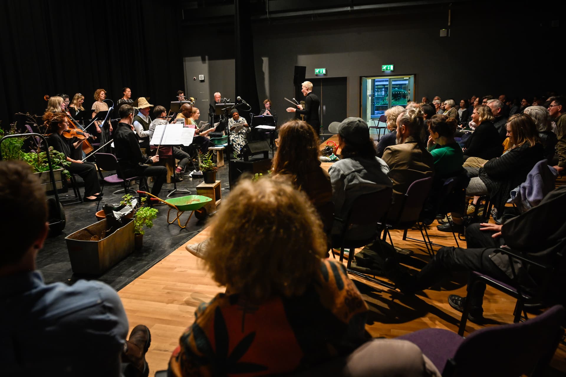 Ladies in Bloomers performance - Image 1
