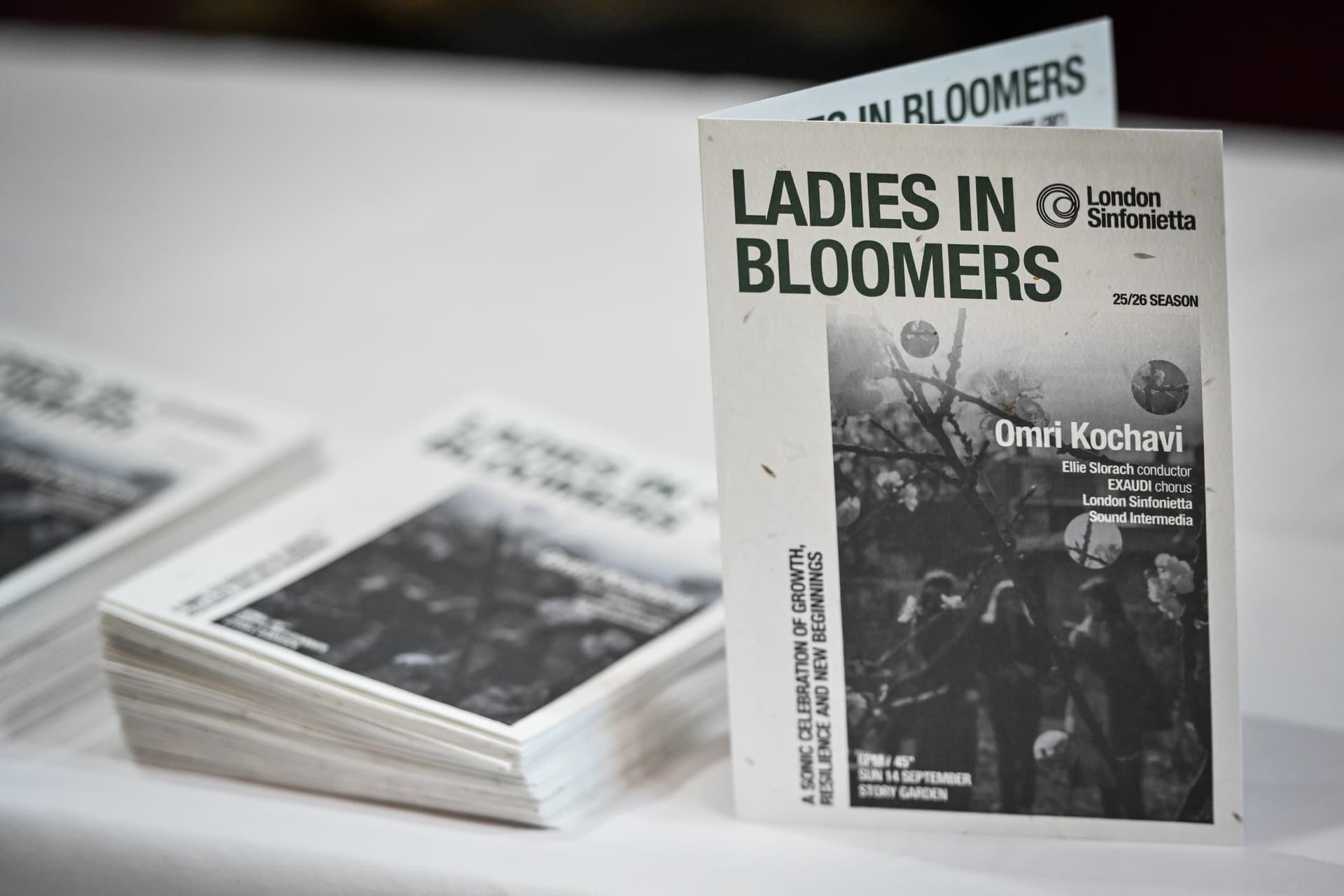 Ladies in Bloomers performance - Image 2